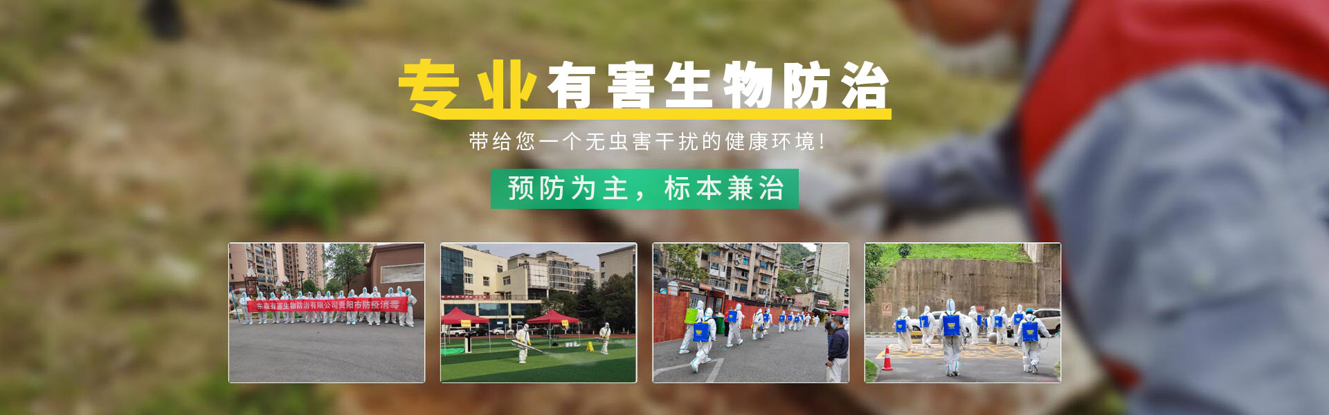 贵州东腾环境杀虫灭鼠服务有限公司